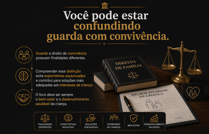 Guarda, Visitas e Alimentos - 4